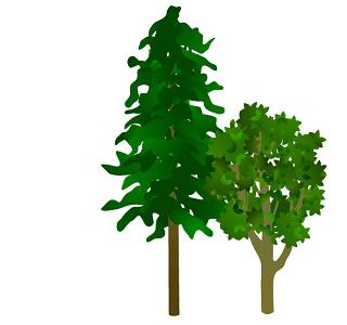 屋上緑化の大きなメリットについて詳しく丁寧に解説するサイト『屋上緑化のメリット』